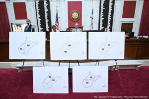 Legislative redistricting committees take first look at proposed new maps